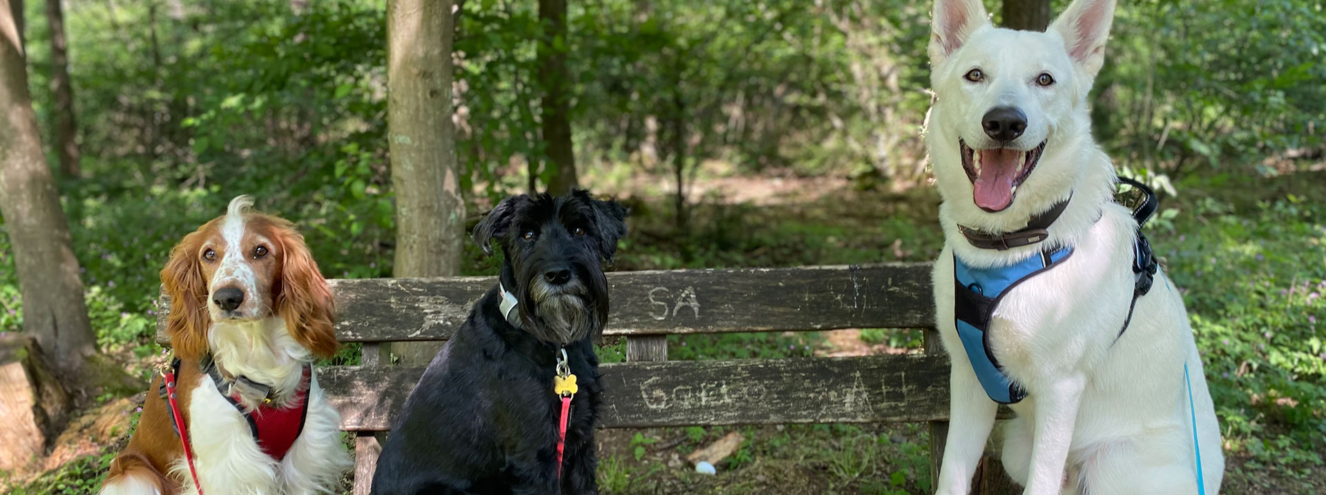 Anoukathi Hundebetreuung e.K.